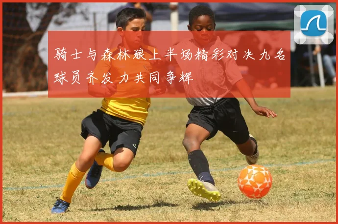 骑士与森林狼上半场精彩对决九名球员齐发力共同争辉